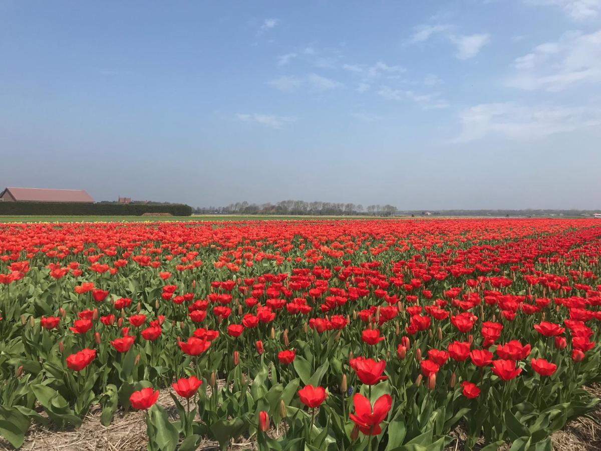 Vakantiehuis Achter De Duinen Castricum Esterno foto