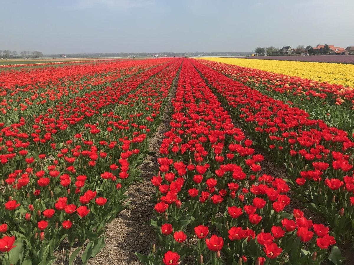 Vakantiehuis Achter De Duinen Castricum Esterno foto
